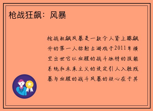 枪战狂飙：风暴